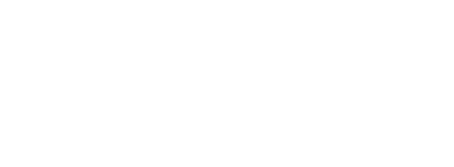 SexyHead Hair Extensions